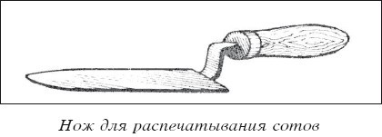 Мед и продукты пчеловодства - i_031.jpg