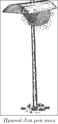 Мед и продукты пчеловодства - i_037.jpg