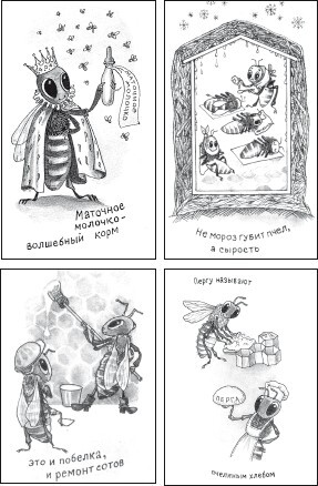 Мед и продукты пчеловодства - i_049.jpg