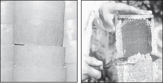 Мед и продукты пчеловодства - i_051.jpg