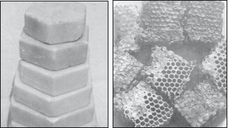 Мед и продукты пчеловодства - i_052.jpg