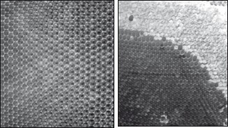 Мед и продукты пчеловодства - i_061.jpg