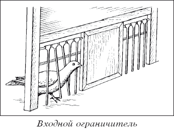 Мясные голуби и домашнее голубеводство - i_021.png