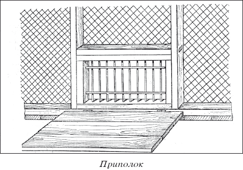 Мясные голуби и домашнее голубеводство - i_032.png