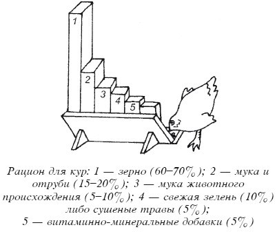 Разведение домашней птицы на ферме и приусадебном участке - i_027.jpg