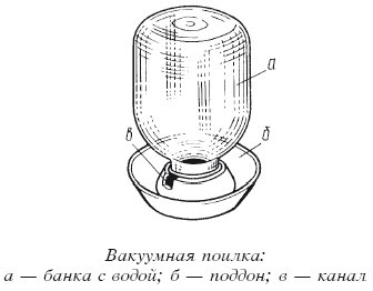 Разведение домашней птицы на ферме и приусадебном участке - i_032.jpg