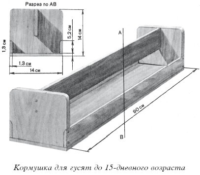 Разведение домашней птицы на ферме и приусадебном участке - i_034.jpg