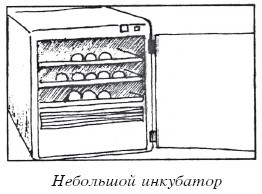 Разведение домашней птицы на ферме и приусадебном участке - i_062.jpg