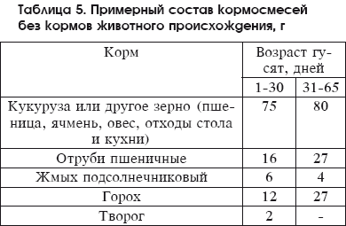 Разведение домашней птицы на ферме и приусадебном участке - i_074.png