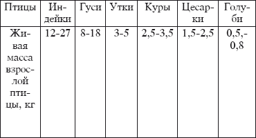 Разведение домашней птицы на ферме и приусадебном участке - i_105.png