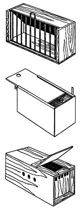 Разведение и содержание волнистых попугайчиков - i_003.jpg