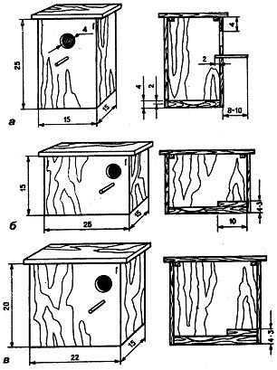 Разведение и содержание волнистых попугайчиков - i_009.jpg