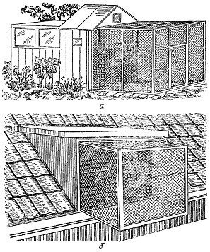 Разведение и содержание волнистых попугайчиков - i_010.jpg