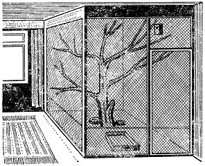 Разведение и содержание волнистых попугайчиков - i_011.jpg
