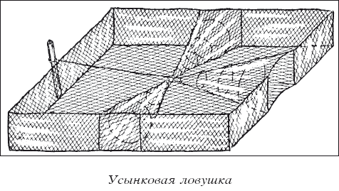 Разведение рыбы, раков и домашней птицы - i_001.png