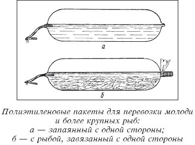 Разведение рыбы, раков и домашней птицы - i_031.jpg