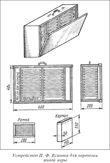 Разведение рыбы, раков и домашней птицы - i_032.jpg