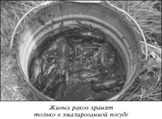 Разведение рыбы, раков и домашней птицы - i_045.jpg