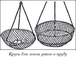 Разведение рыбы, раков и домашней птицы - i_048.jpg