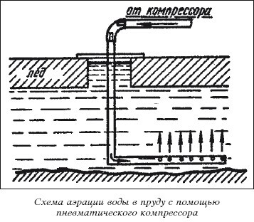 Разведение рыбы, раков и домашней птицы - i_057.jpg