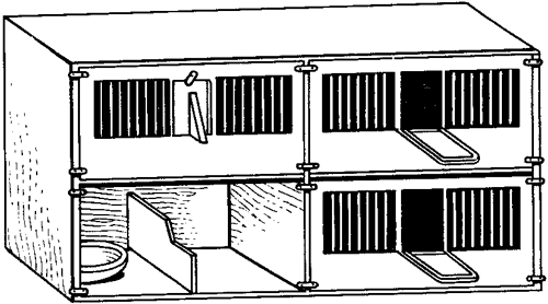 Справочник по домашнему голубеводству - i_013.png