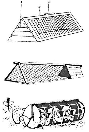 Справочник по домашнему животноводству - i_050.png