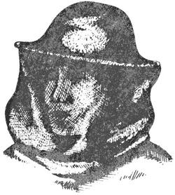 Справочник по домашнему пчеловодству - i_020.png