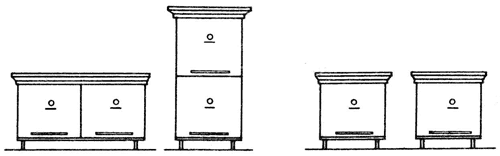 Справочник по домашнему пчеловодству - i_032.png