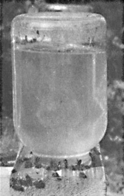 Справочник по домашнему пчеловодству - i_064.jpg