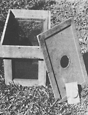 Справочник по домашнему пчеловодству - i_076.jpg