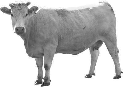 Справочник современного фермера. Птицеводство, животноводство, коневодство - i_046.jpg