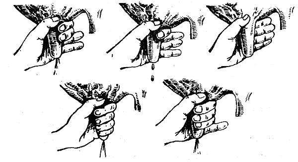 Справочник современного фермера. Птицеводство, животноводство, коневодство - i_050.png