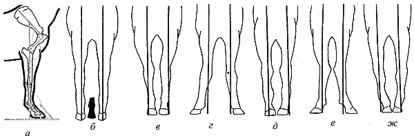 Справочник современного фермера. Птицеводство, животноводство, коневодство - i_061.png