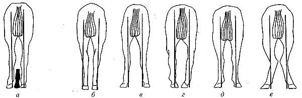 Справочник современного фермера. Птицеводство, животноводство, коневодство - i_062.png