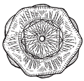 Вязаные модные аксессуары. Сумочки, ремни, перчатки, шарфы - pic_70.png