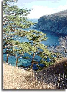 "Мне сопутствовала счастливая звезда..." (Владимир Клавдиевич Арсеньев 1872-1930гг) - i_008.jpg