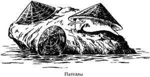 Волны над нами - i_006.jpg