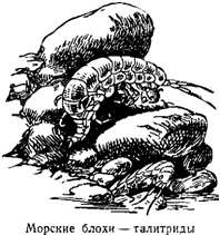 Волны над нами - i_007.jpg