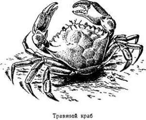 Волны над нами - i_015.jpg