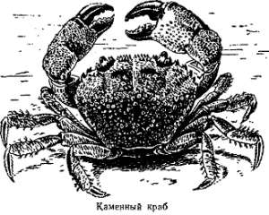 Волны над нами - i_016.jpg