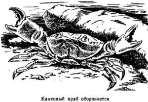 Волны над нами - i_017.jpg