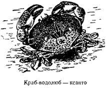 Волны над нами - i_018.jpg