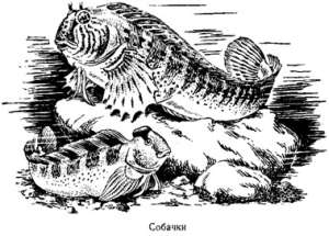 Волны над нами - i_020.jpg