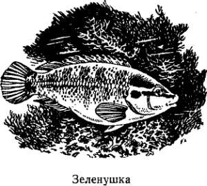 Волны над нами - i_021.jpg