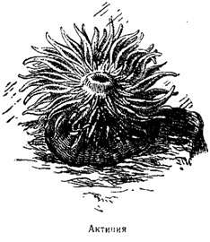 Волны над нами - i_023.jpg