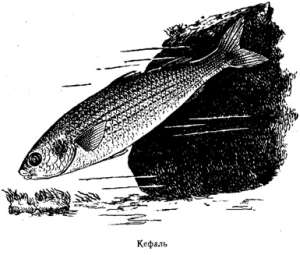 Волны над нами - i_025.jpg