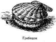 Волны над нами - i_026.jpg