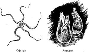 Волны над нами - i_027.jpg