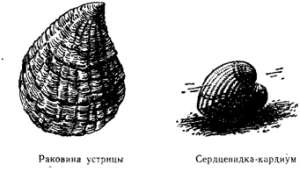 Волны над нами - i_028.jpg