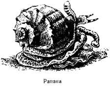 Волны над нами - i_029.jpg